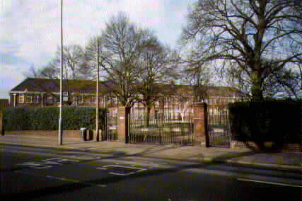 pic5.jpg (18481 bytes)