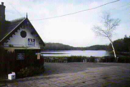 pic6.jpg (12455 bytes)