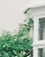 Forest Bureau